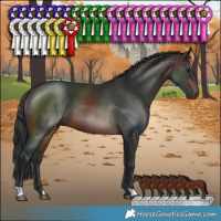 Horse Color:Brown 