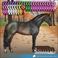 Horse Color:Brown 