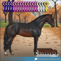 Horse Color:Brown 