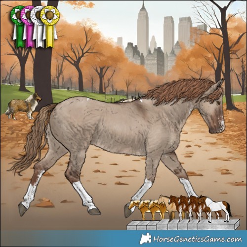 Horse Color:Liver Red Dun Sabino Tobiano Rabicano 