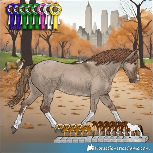 Horse Color:Liver Red Dun Sabino Tobiano Rabicano 