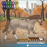 Horse Color:Liver Red Dun Sabino Tobiano Rabicano 