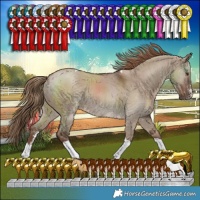 Horse Color:Liver Red Dun Sabino Tobiano Rabicano 