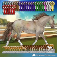 Horse Color:Liver Red Dun Sabino Tobiano Rabicano