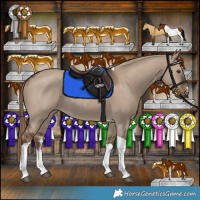 Horse Color:Liver Red Dun Sabino Tobiano Rabicano