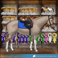 Horse Color:Liver Red Dun Sabino Tobiano Rabicano 