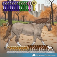 Horse Color:Liver Red Dun Sabino Tobiano Rabicano 
