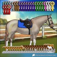 Horse Color:Liver Red Dun Sabino Tobiano Rabicano