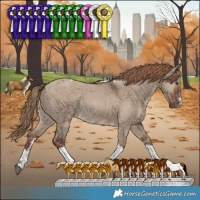 Horse Color:Liver Red Dun Sabino Tobiano Rabicano 