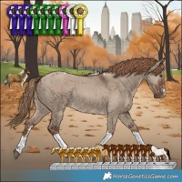 Horse Color:Liver Red Dun Sabino Tobiano Rabicano 