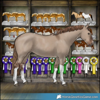 Horse Color:Liver Red Dun Sabino Tobiano Rabicano