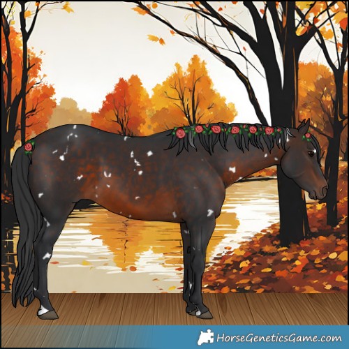 Horse Color:White Spotted Brown 
