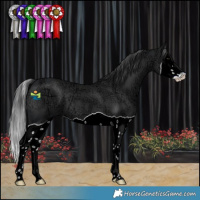 Horse Color:Black Ice Splash 