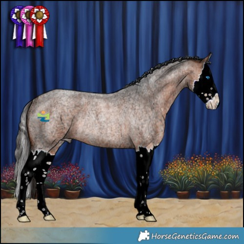 Horse Color:Bay Ice Roan Splash Rabicano 