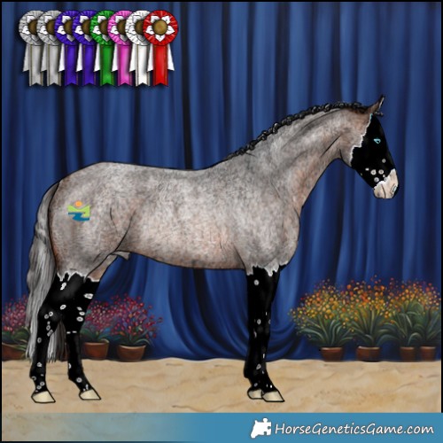 Horse Color:Bay Ice Roan Splash Rabicano 