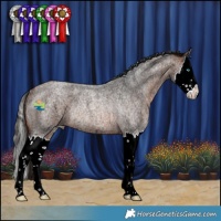 Horse Color:Bay Ice Roan Splash Rabicano