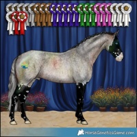 Horse Color:Bay Ice Roan Splash Rabicano 