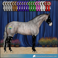 Horse Color:Bay Ice Roan Splash Rabicano 