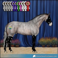 Horse Color:Bay Ice Roan Splash Rabicano 