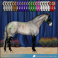 Horse Color:Bay Ice Roan Splash Rabicano 