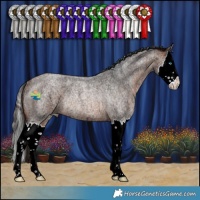 Horse Color:Bay Ice Roan Splash Rabicano