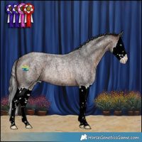 Horse Color:Bay Ice Roan Splash Rabicano