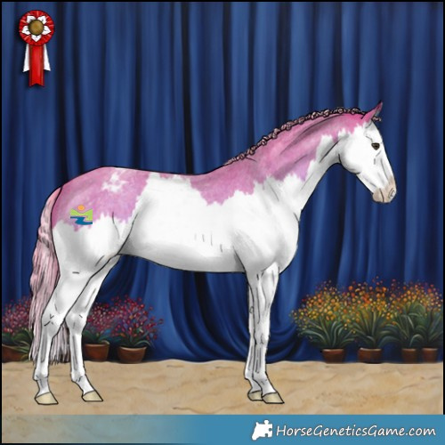 Horse Color:Watercolor Red Roan Splash Appaloosa 