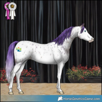 Horse Color:Watercolor Bay Ice Roan Splash Near Leopard 