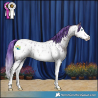 Horse Color:Watercolor Bay Ice Roan Splash Appaloosa 