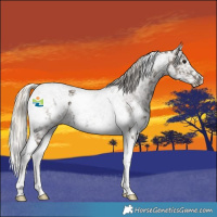 Horse Color:White Spotted Silver Smoky Black Ice Tobiano Rabicano 