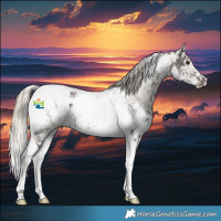 Horse Color:White Spotted Silver Smoky Black Ice Tobiano Rabicano 