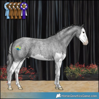 Horse Color:Blue Roan Splash 