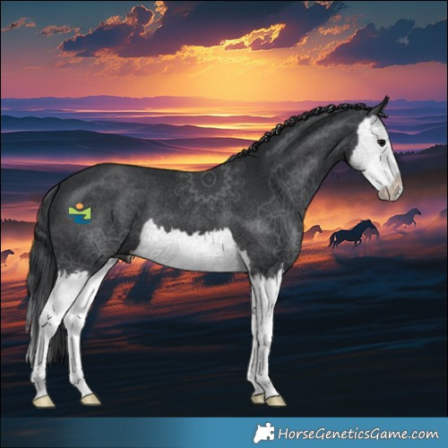 Horse Color:Black Splash 