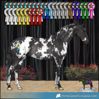 Horse Color:White Spotted Smoky Black Rabicano 