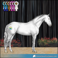 Horse Color:Gray Silver Black Chinchilla Ice 