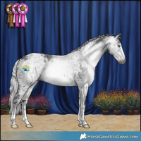 Horse Color:Gray Silver Black Chinchilla Ice 