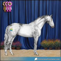 Horse Color:Gray Silver Black Chinchilla Ice
