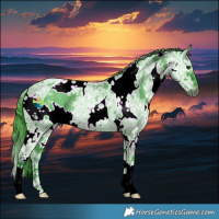 Horse Color:Gray Watercolor White Spotted Smoky Blue Chinchilla Ice Roan Appaloosa 