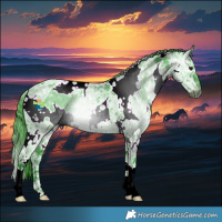 Horse Color:Gray Watercolor White Spotted Smoky Blue Chinchilla Ice Roan Appaloosa 