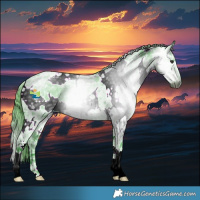 Horse Color:Gray Watercolor White Spotted Smoky Blue Chinchilla Ice Roan Appaloosa 