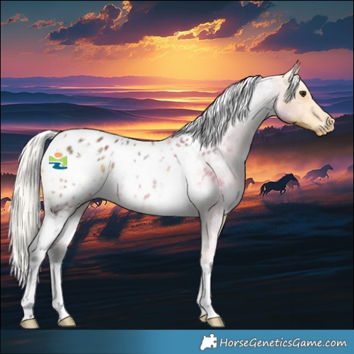 Horse Color:White Spotted Silver Buckskin Appaloosa 