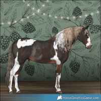 Horse Color:Liver Chestnut  and Liver Chestnut Tobiano Rabicano 
