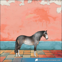 Horse Color:Gray Brown 