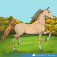 Horse Color:Red Dun 