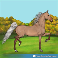 Horse Color:Silver Bay Dun