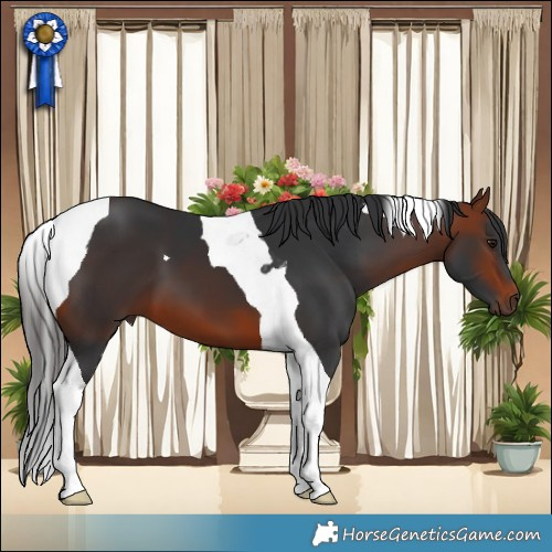 Horse Color:Bay Tobiano