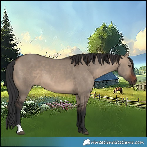 Horse Color:Brown Dun