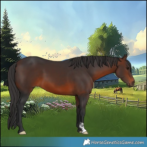 Horse Color:Brown 