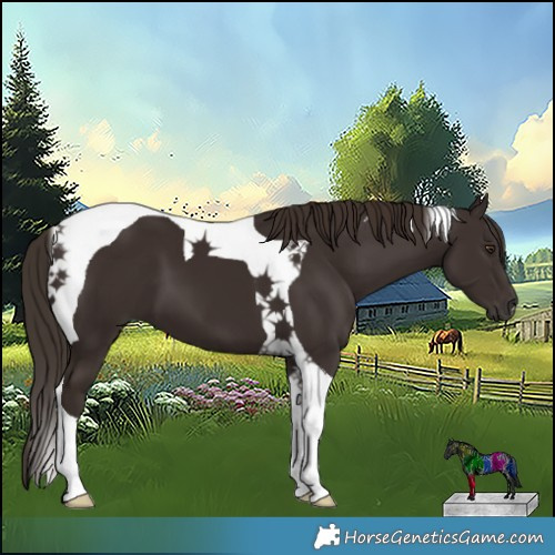 Horse Color:Liver Chestnut Tobiano 