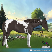 Horse Color:Liver Chestnut Tobiano 